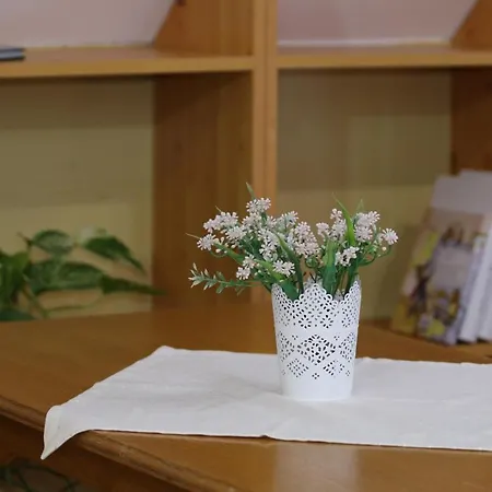 Csillagocska Apartman