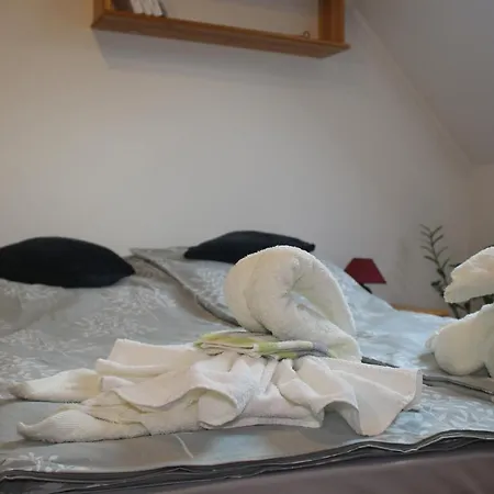 Csillagocska Apartman Guest house